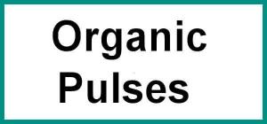 ORGANIC PULSES